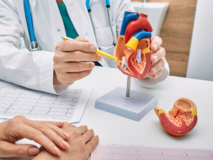 Illustrazione delle principali patologie cardiovascolari prevenibili con controlli regolari.